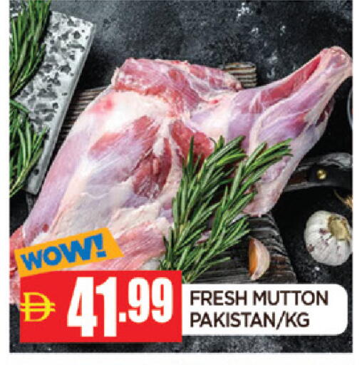 available at المدينة in الإمارات العربية المتحدة , الامارات - الشارقة / عجمان