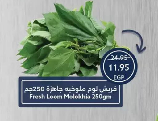 available at Oscar Grand Stores  in Egypt - Cairo