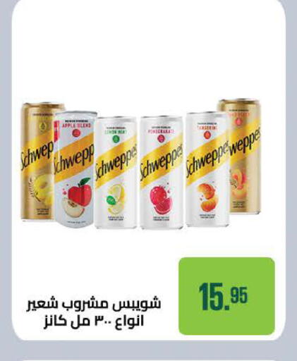 Apple available at سعودي سوبرماركت in Egypt - القاهرة