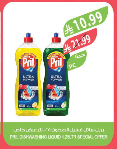 available at المزرعة in مملكة العربية السعودية, السعودية, سعودية - تبوك