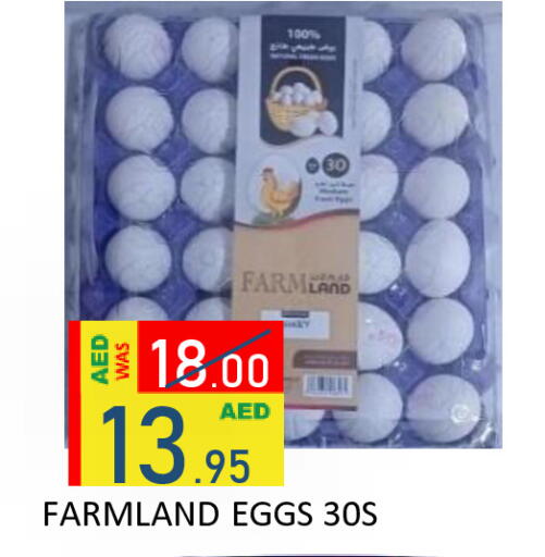 available at رويال جلف هايبرماركت in الإمارات العربية المتحدة , الامارات - أبو ظبي
