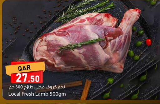 available at دانا ماركت in قطر - الوكرة