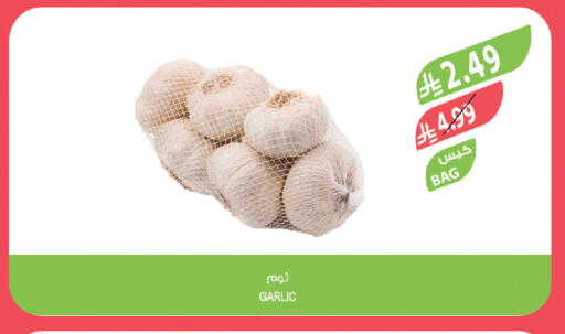 Garlic available at Farm  in KSA, Saudi Arabia, Saudi - Al Khobar