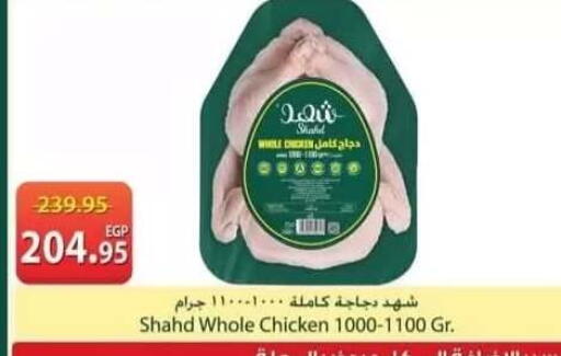 available at سبينس in Egypt - القاهرة