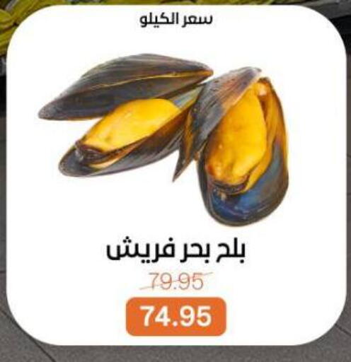 available at بيت الجملة in Egypt - القاهرة
