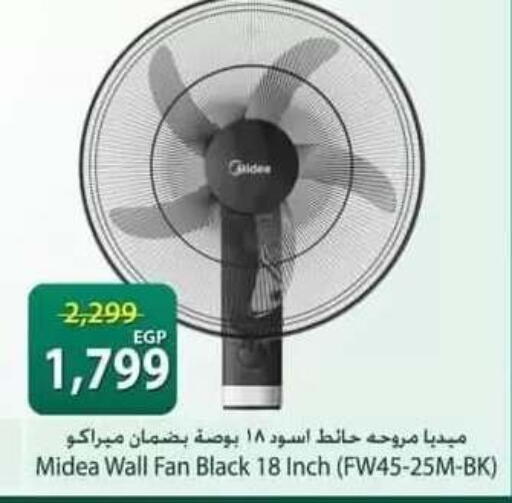 available at سبينس in Egypt - القاهرة