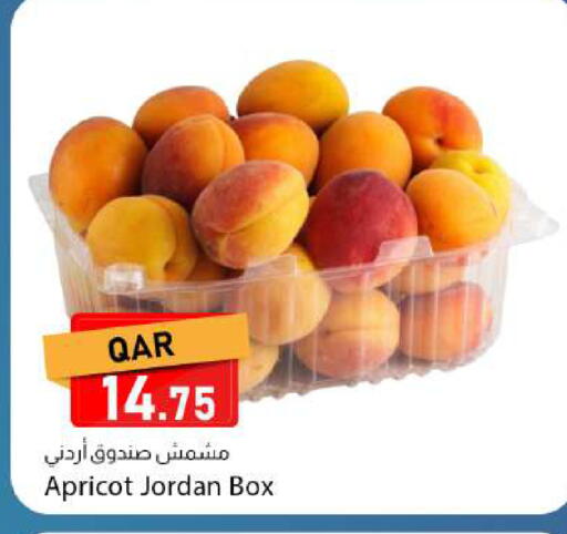Apricot available at دانا ماركت in قطر - أم صلال