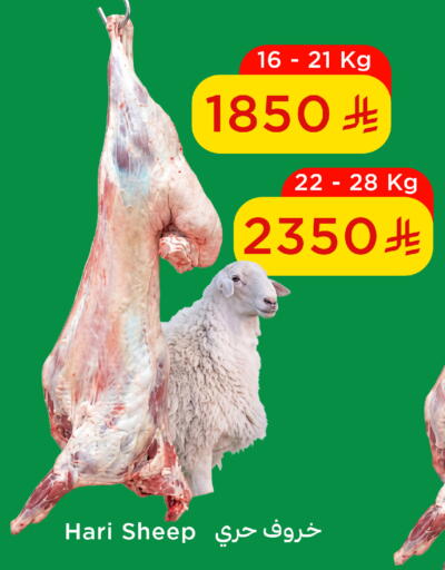 available at وهج مارت in مملكة العربية السعودية, السعودية, سعودية - جدة