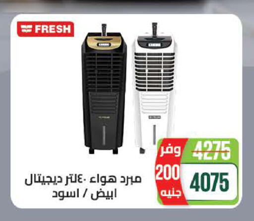 available at سعودي سوبرماركت in Egypt - القاهرة