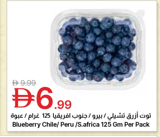 Blueberry BlueBerry from Chile available at جمعية الامارات التعاونية in الإمارات العربية المتحدة , الامارات - دبي