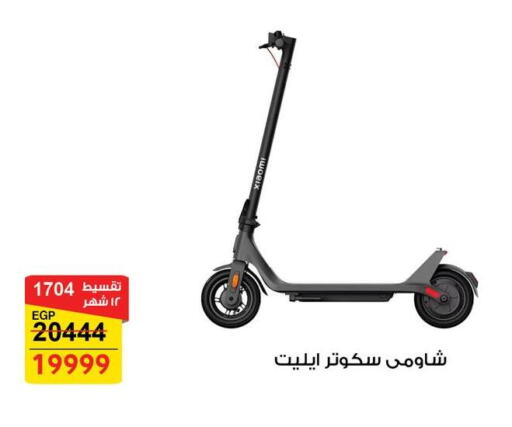 available at Fathalla Market  in Egypt - Cairo