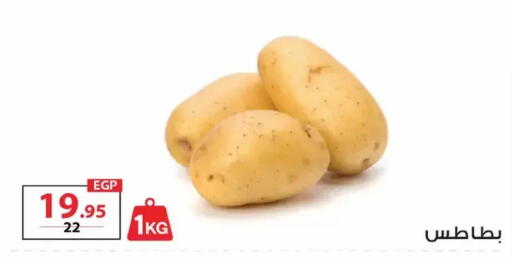 available at زهران ماركت in Egypt - القاهرة