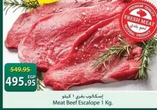 available at سبينس in Egypt - القاهرة