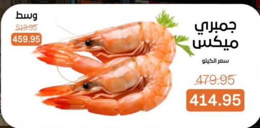 available at بيت الجملة in Egypt - القاهرة