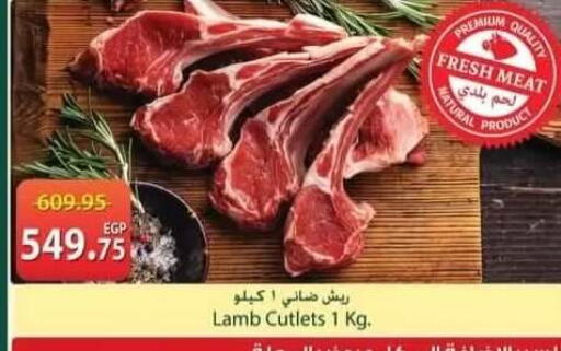available at سبينس in Egypt - القاهرة