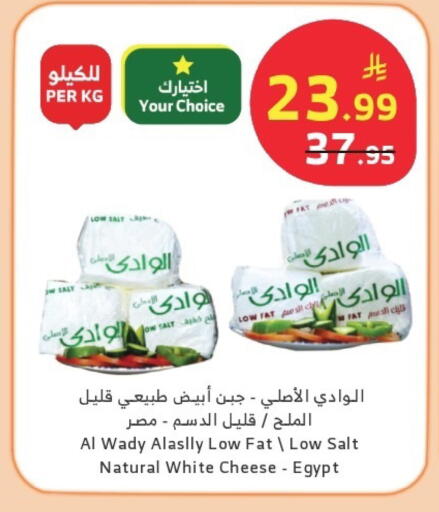 available at Al Raya in KSA, Saudi Arabia, Saudi - Al Qunfudhah