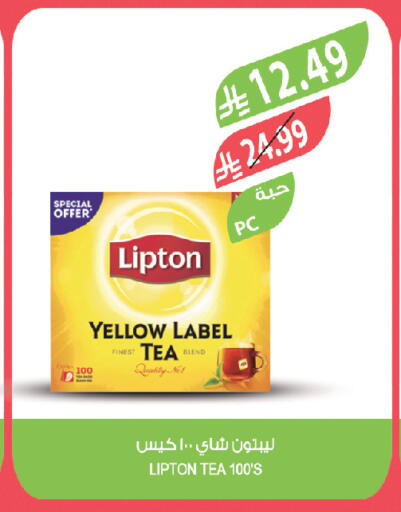 available at المزرعة in مملكة العربية السعودية, السعودية, سعودية - تبوك