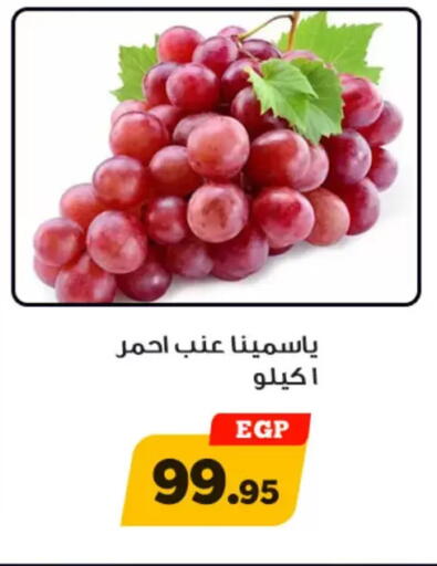 available at أولاد رجب in Egypt - القاهرة