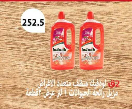 available at Hyper Samy Salama Sons in Egypt - Cairo