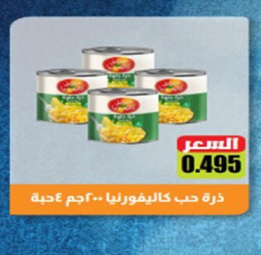 available at  Al Ardhiya coop  in Kuwait - Ahmadi Governorate