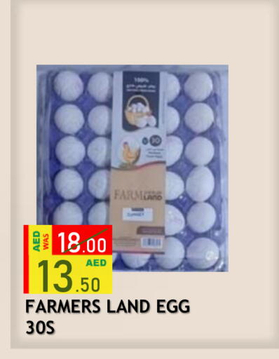 available at رويال جلف هايبرماركت in الإمارات العربية المتحدة , الامارات - أبو ظبي