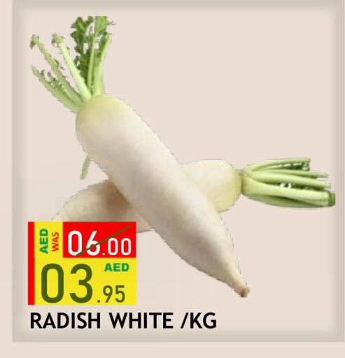 Radish available at رويال جلف هايبرماركت in الإمارات العربية المتحدة , الامارات - أبو ظبي