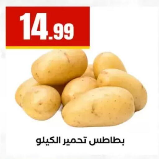 available at المحلاوي ستورز in Egypt - القاهرة