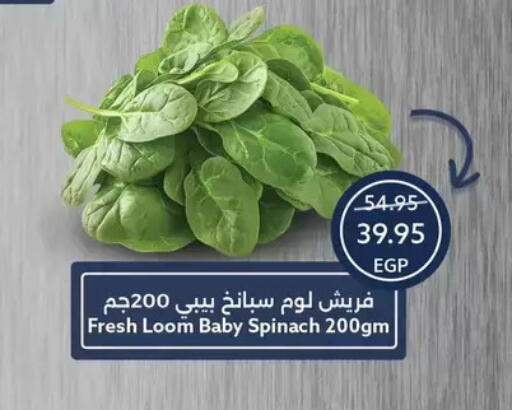 Spinach available at Oscar Grand Stores  in Egypt - Cairo