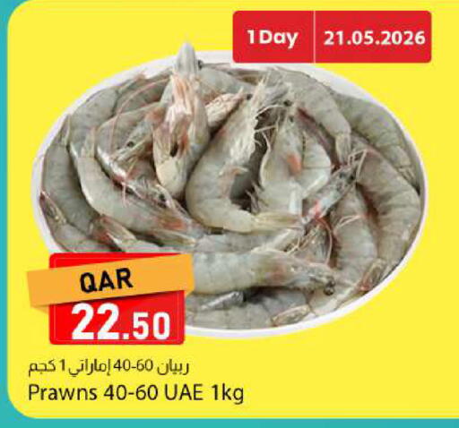 available at دانا ماركت in قطر - الوكرة