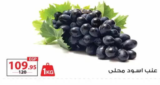 available at زهران ماركت in Egypt - القاهرة