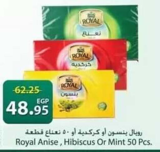 Anise Mint available at سبينس in Egypt - القاهرة