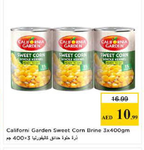 available at Last Chance  in UAE - Fujairah