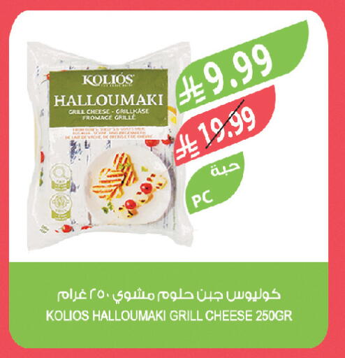 available at المزرعة in مملكة العربية السعودية, السعودية, سعودية - تبوك