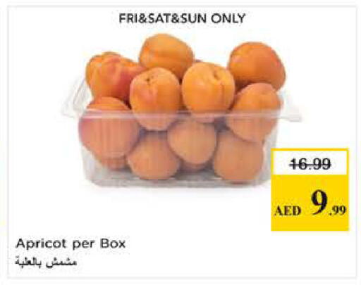 Apricot available at لاست تشانس in الإمارات العربية المتحدة , الامارات - ٱلْفُجَيْرَة‎
