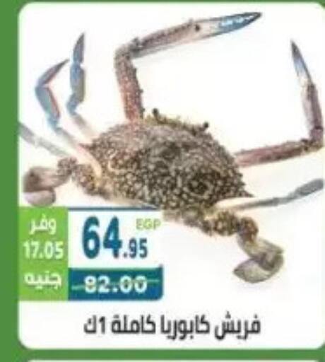 available at هايبر ماركت دريم in Egypt - القاهرة