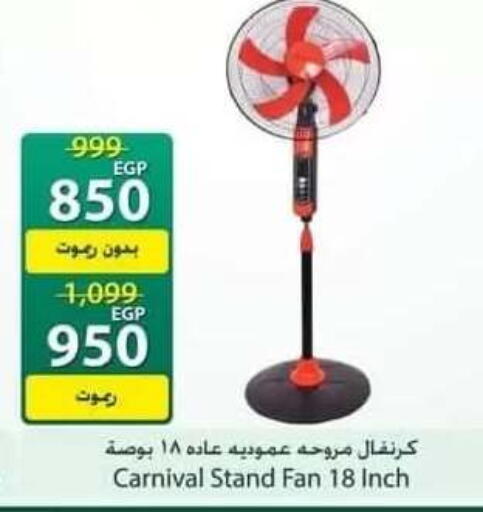 available at سبينس in Egypt - القاهرة