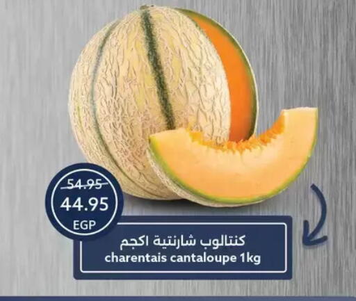Cantaloupe available at  أوسكار جراند ستورز  in Egypt - القاهرة
