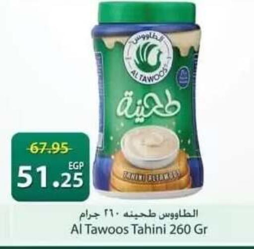 available at سبينس in Egypt - القاهرة