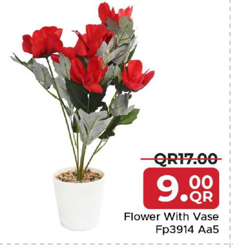 available at مركز التموين العائلي in قطر - أم صلال