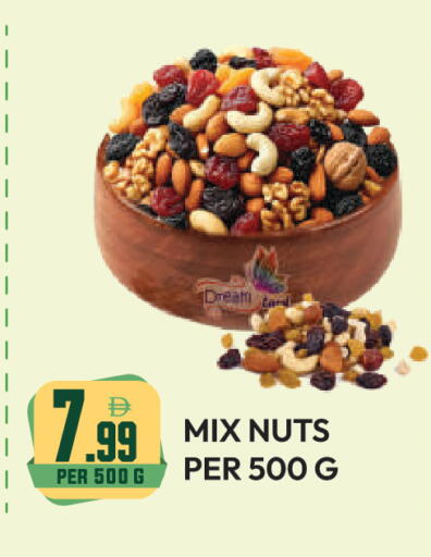 available at دريم لاند in الإمارات العربية المتحدة , الامارات - دبي