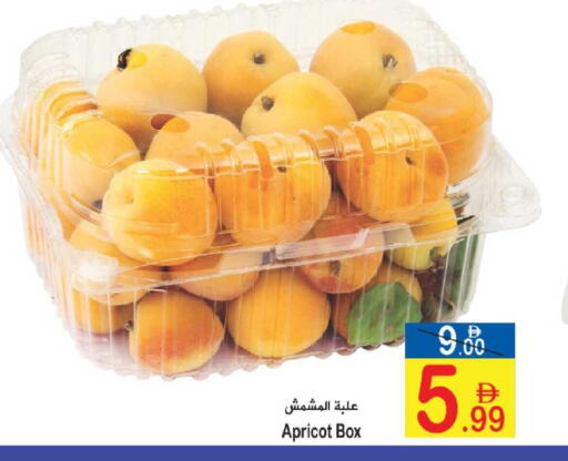 Apricot available at سن اند ساند هايبر ماركت ذ.م.م in الإمارات العربية المتحدة , الامارات - رَأْس ٱلْخَيْمَة