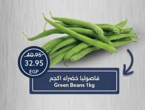 available at Oscar Grand Stores  in Egypt - Cairo