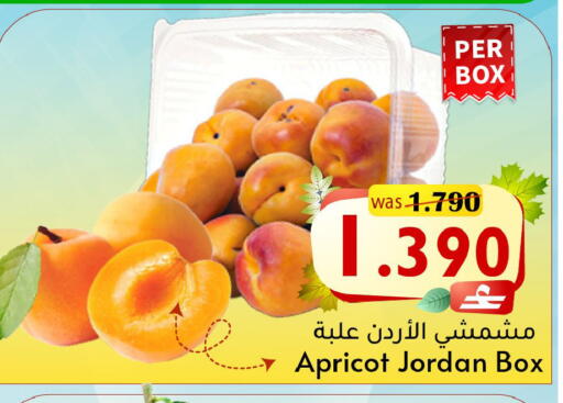 Apricot available at مركز المزن للتسوق in عُمان - مسقط‎