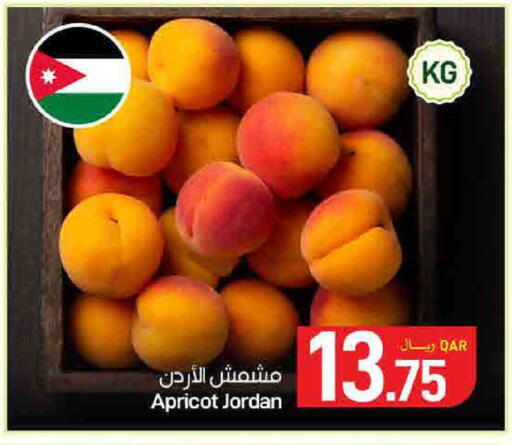 Apricot available at SPAR in Qatar - Doha