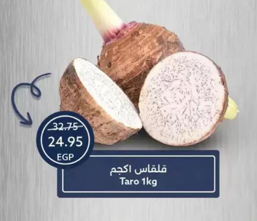 Taro available at Oscar Grand Stores  in Egypt - Cairo