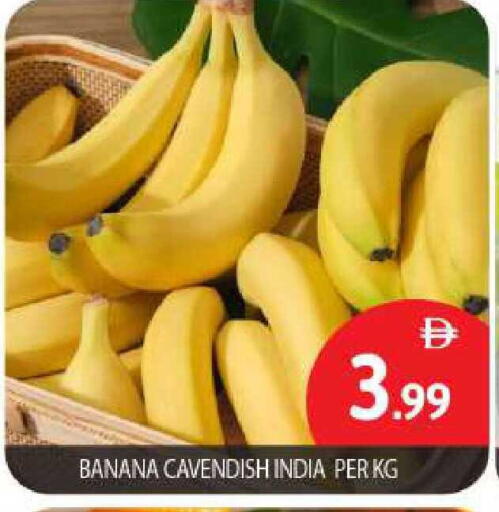 Banana from India available at بيج مارت in الإمارات العربية المتحدة , الامارات - أبو ظبي