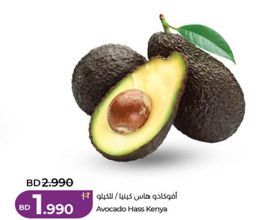 Avocado from Kenya available at لولو هايبر ماركت in البحرين