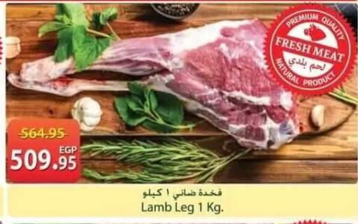 available at سبينس in Egypt - القاهرة