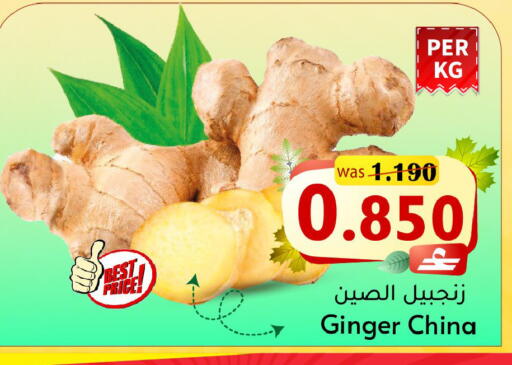 Ginger from China available at مركز المزن للتسوق in عُمان - مسقط‎