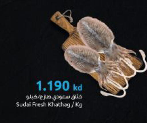 available at مركز سلطان in الكويت - مدينة الكويت